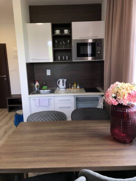 Kuchyně v 2pokojovém bytě s bílými skříňkami a mikrovlnnou troubou.