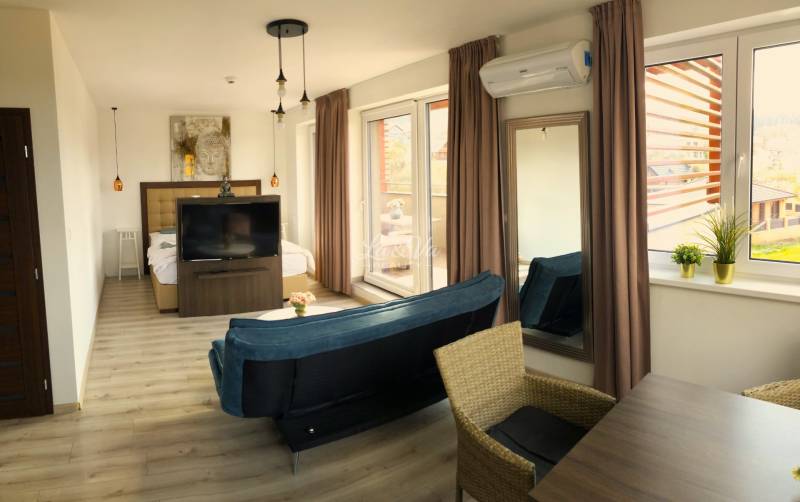 Světlý 2-pokojový byt s podlahou s dřevěným dekorem, pohovkou a velkými okny.