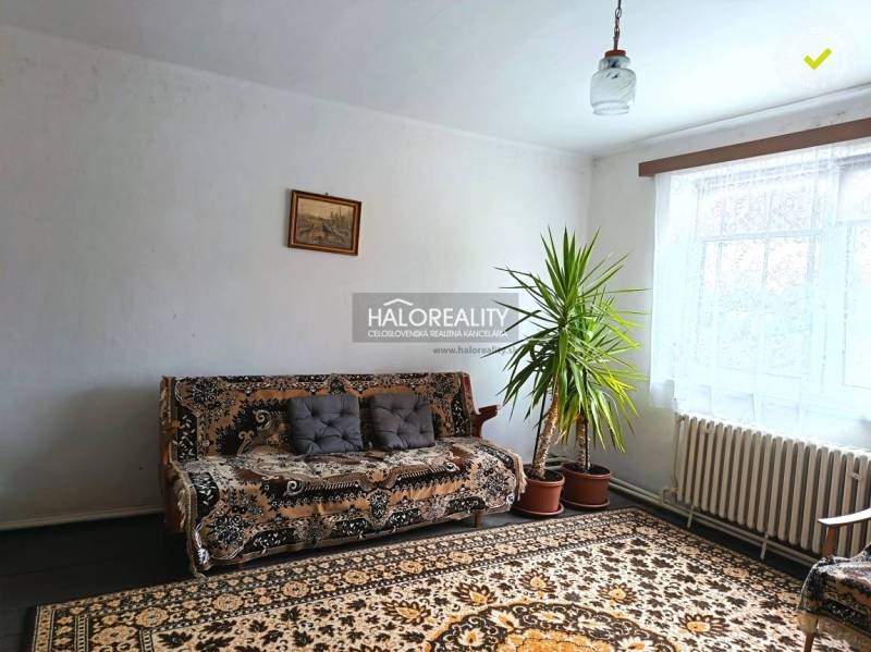 Obývací pokoj v rodinném domě s koberci, gaučem a pokojovou rostlinou.