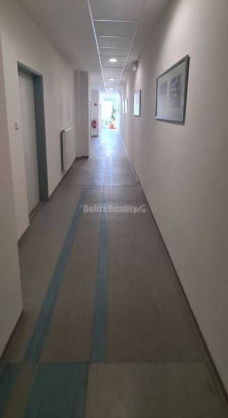 Dlouhá chodba s bílými stěnami, stropními světly a obrázky v kancelářích.