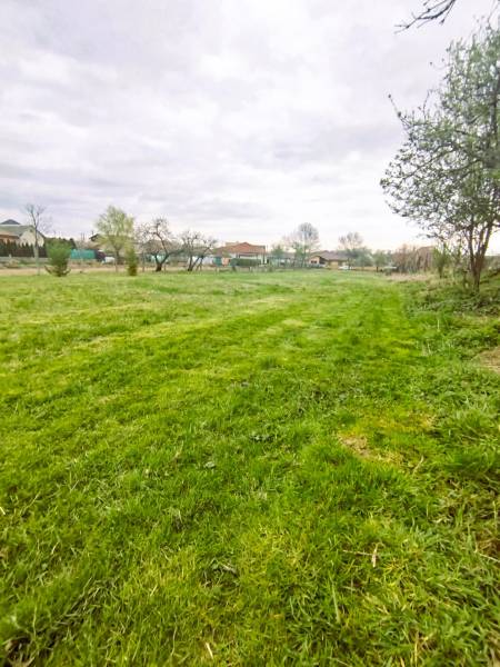 Zelený pozemek na bydlení v Horní Králové obklopený přírodou a stromy.