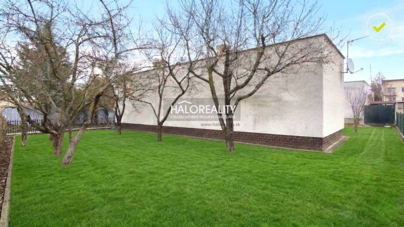 Zahrada s trávníkem a stromy u rodinného domu v Poltáři.