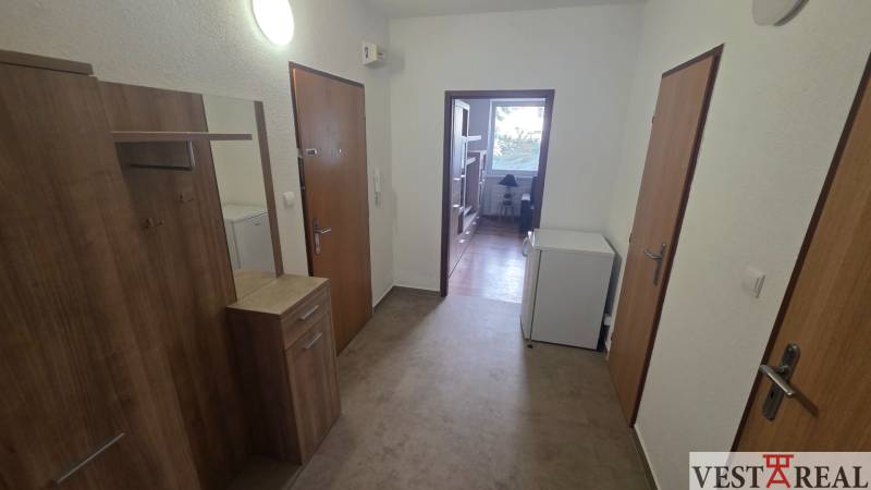 Vstupní hala a chodba v 1-pokojovém bytě s podlahou s dřevěným dekorem.