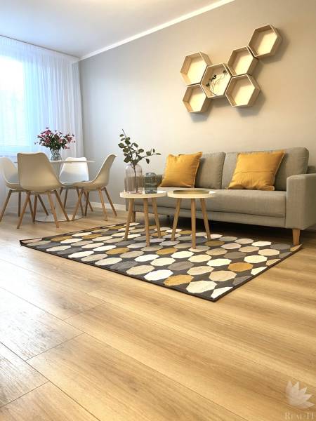 2pokojový byt s podlahou s dřevěným dekorem, pohovkou, jídelním stolem a geometrickými poličkami.