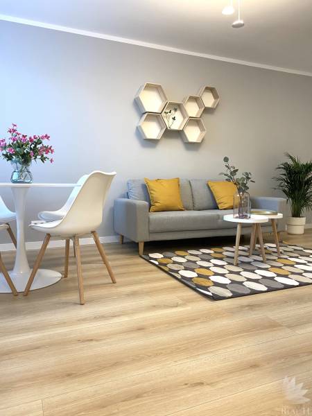 Obývací pokoj dvoupokojového bytu s podlahou s dřevěným dekorem, šedou sedačkou a dekorativními hexagony.