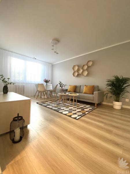 Obývací pokoj v 2-pokojovém bytě s pohovkou, kobercem a podlahou s dřevěným dekorem.