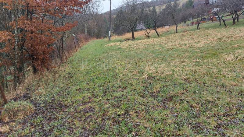 Přírodní scenérie s travnatým pozemkem a stromy na rekreačních pozemcích v Púchově.