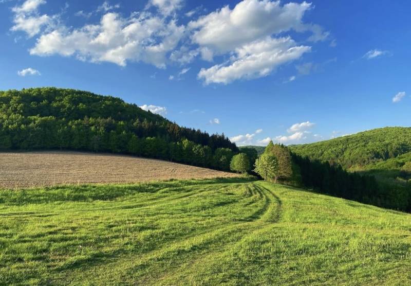 Krásné zelené zemědělské a lesní pozemky v Dolních Kočkovcích pod jasnou modrou oblohou.
