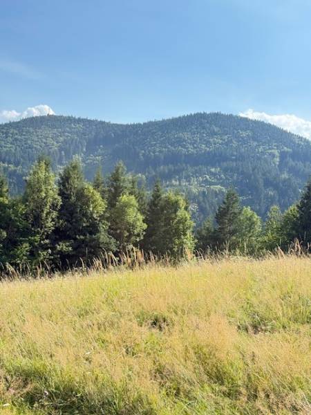Horská krajina u Horní Marikové s lesy a loukou pod slunečnou oblohou.