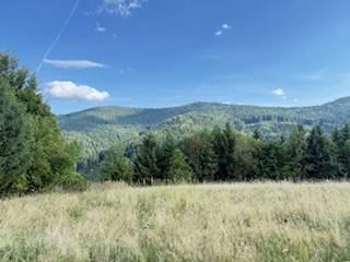 Horská krajina u Horní Marikové s loukou a lesy pod modrou oblohou.