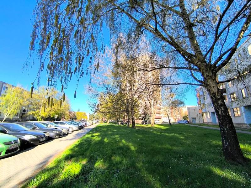 Stromy u ulice Velká Okružní v Partizánském před 3pokojovým bytem, auta zaparkovaná podél cesty.