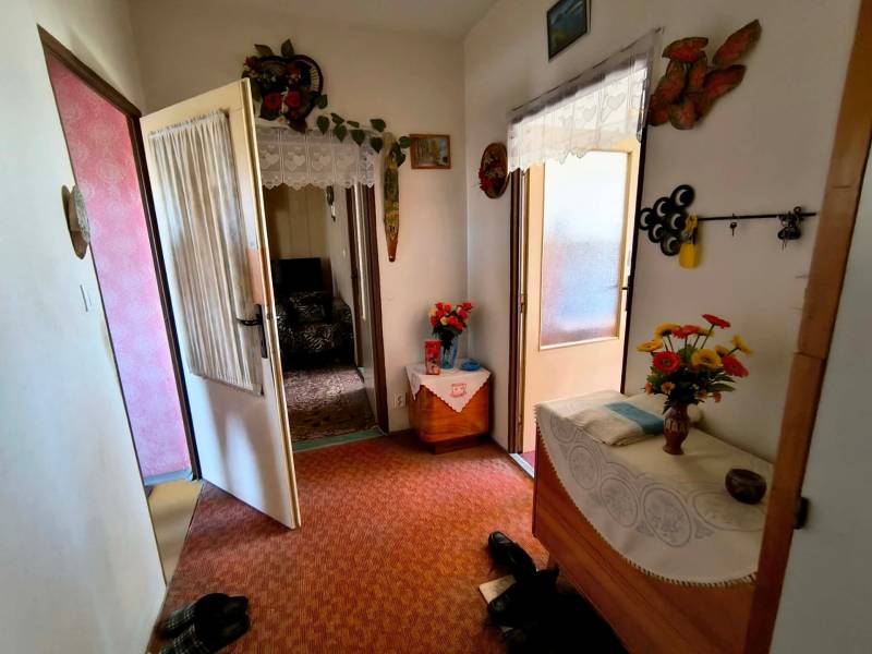 Vstupní hala 3pokojového bytu s kobercem, nábytkem a květinami na dekoraci.