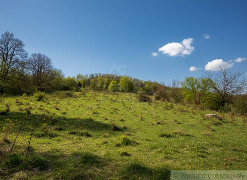 Zelený svah s rozptýlenými stromy a modrou oblohou v okolí Krupiny, ideální pro Pozemky - bydlení.