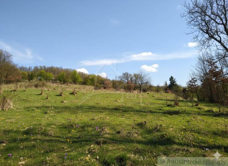 Louka v Krupině pro Pozemky - bydlení, s květinami a udržovanou zelení.