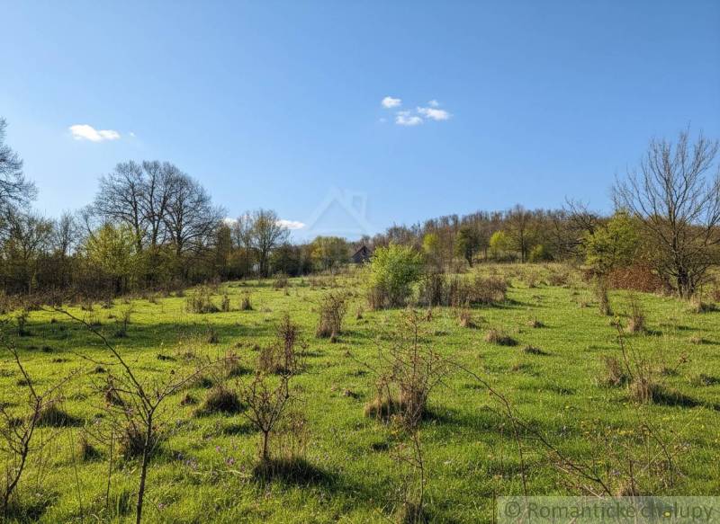 Čerstvá louka s řídkými stromy na pozemcích pro bydlení v Krupině.