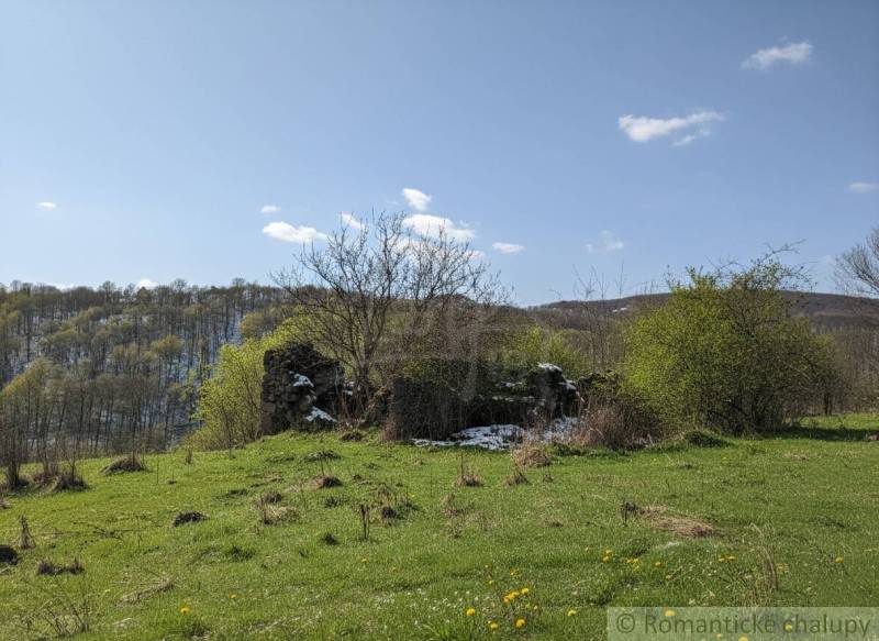 Zeleň a krajina s ruinami v Krupině, vhodná na pozemky - bydlení.