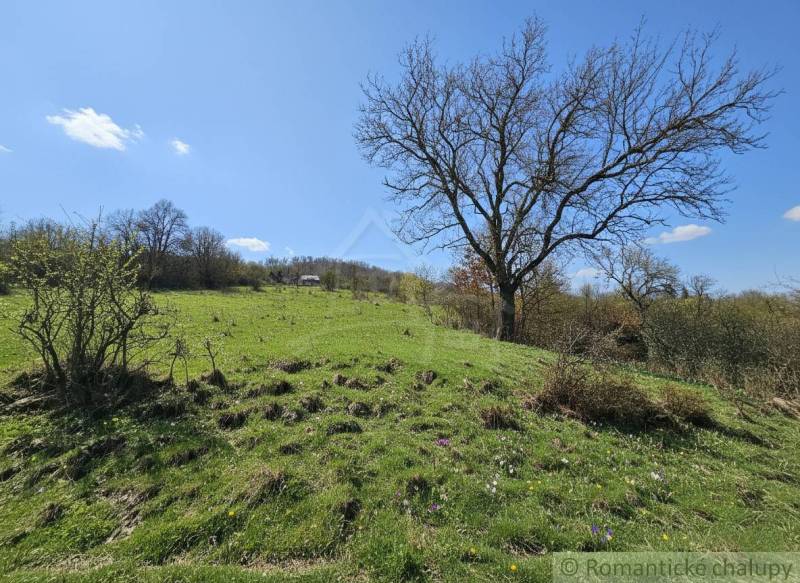 Zeleň s květinami a stromy na pozemcích pro bydlení v okolí Krupiny.