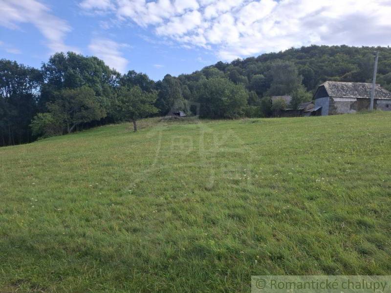 Louka a stavby na pozemcích - bydlení v Horním Tisovníku, obklopené lesem.