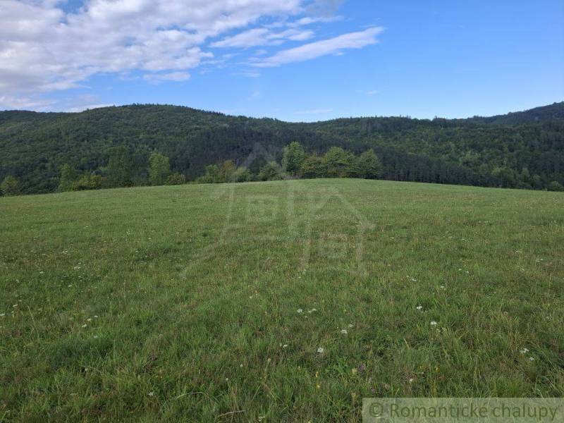 Zelená louka obklopená lesy v Horním Tisovníku, ideální pro pozemky - bydlení.