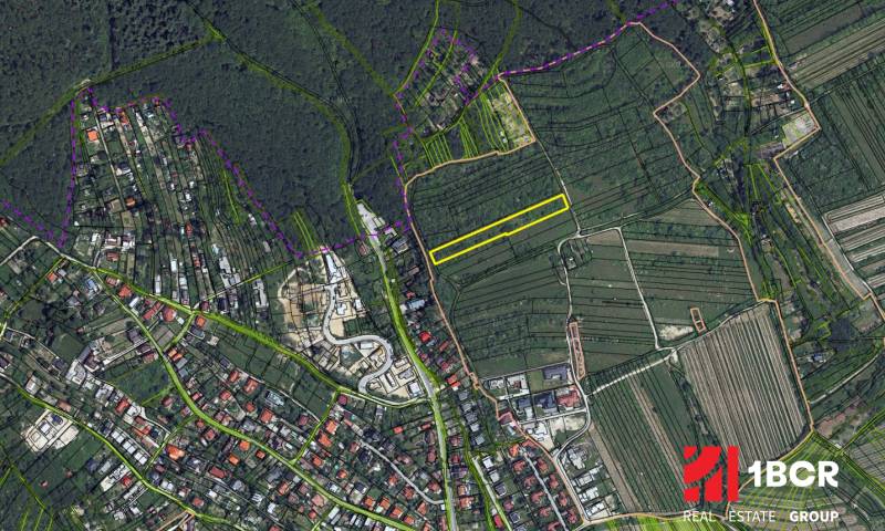 Letecký pohled na vinice v Bratislavě - Rači, konkrétně v oblasti ulice Fongová.