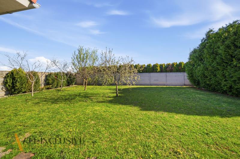 Zahrada rodinného domu v Kútnikách s trávníkem a ovocnými stromy.