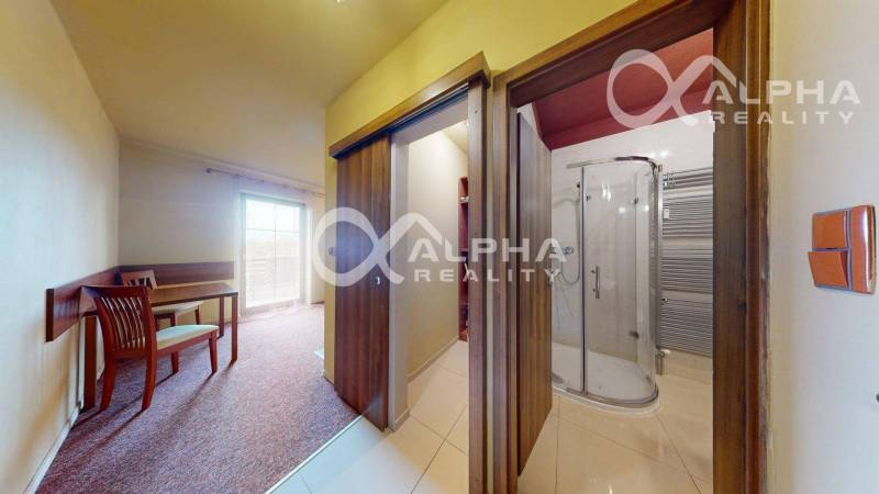 Interiér 2-pokojového bytu s kobercem, skleněným sprchovým koutem a dřevěnými dveřmi.