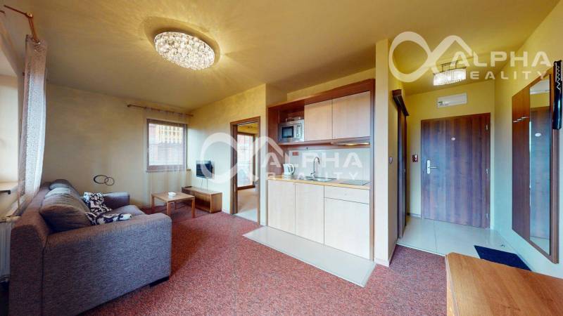 Obývací pokoj v dvoupokojovém bytě s pohovkou a kuchyňskou linkou.