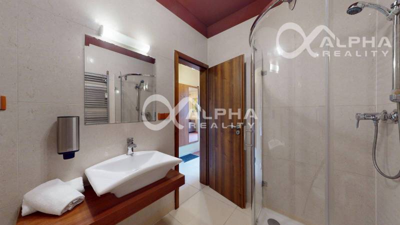 Koupelnový interiér v 2-pokojovém bytě se sprchovým koutem a umyvadlem na dřevěném dekoru.