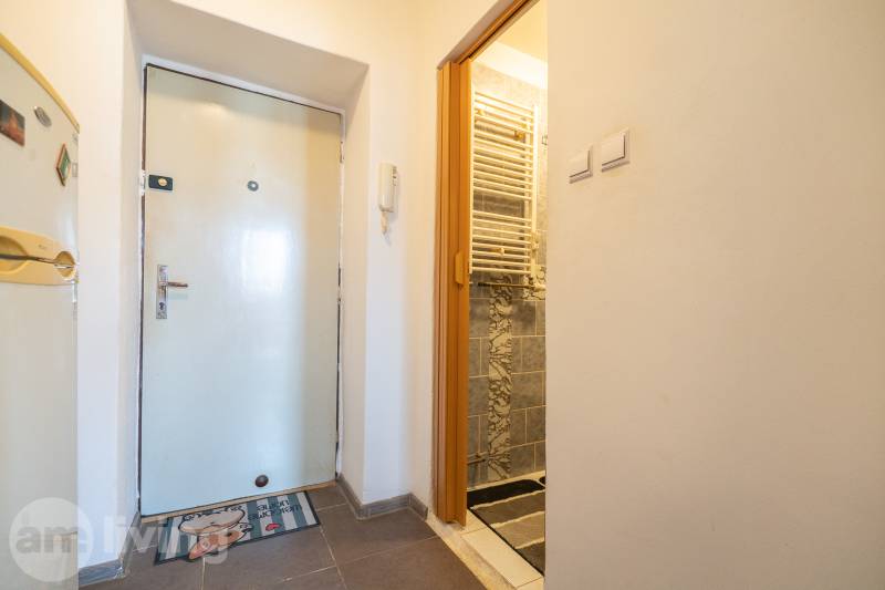 Chodba v 1-pokojovém bytě s dlažbou, vstupní dveře, koupelna, lednička.