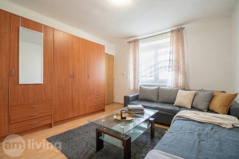 Obývací pokoj v 1-pokojovém bytě s pohovkou, skříní a stolkem, podlaha s dřevěným dekorem.