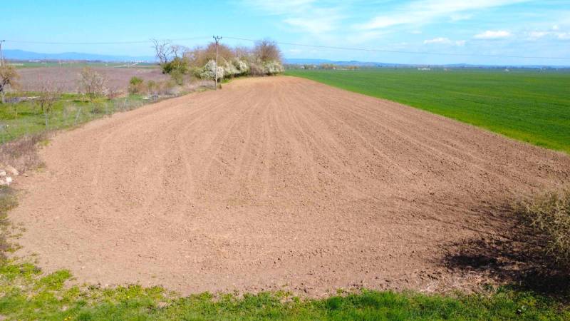 Oranžové pole v zahradách Ondřejovic obklopené přírodou a modrou oblohou.