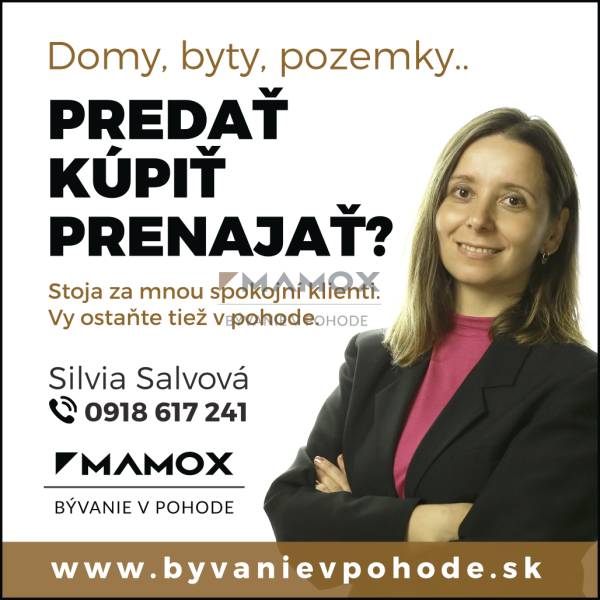 Nabídka prodeje, koupě nebo pronájmu nemovitostí s kontaktem na Silvii Salvovou.