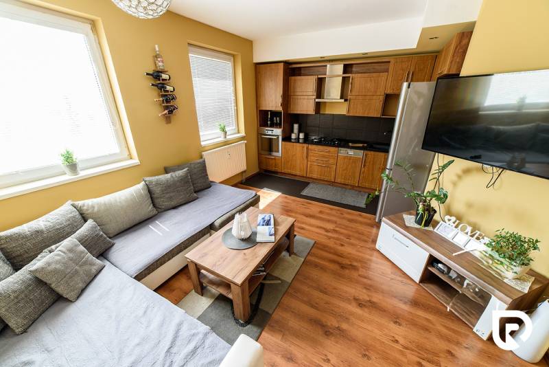 Obývací pokoj s podlahou s dřevěným dekorem, pohovkou a kuchyňskou linkou v 2-pokojovém bytě.