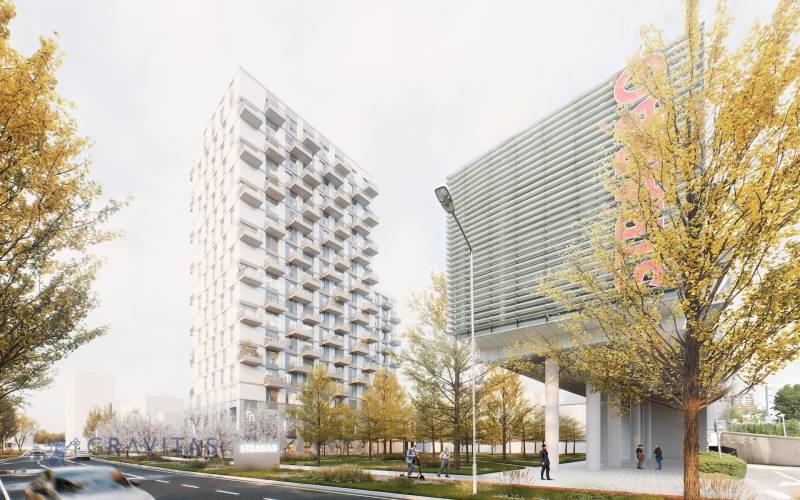 Výšková budova u ulice Mlynské nivy v Bratislavě-Ružinově s podzimními stromy.