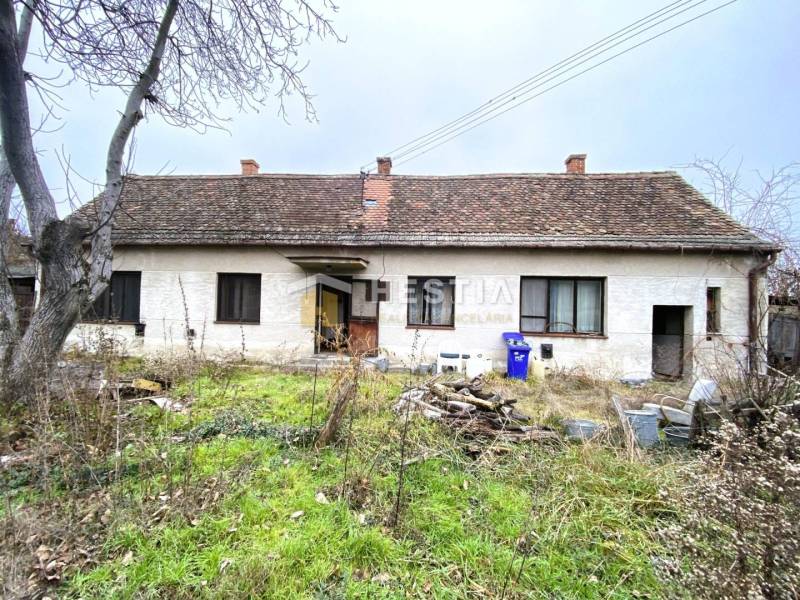 Starý rodinný dům očekává rekonstrukci, na zahradě je divoká vegetace a nepořádek.