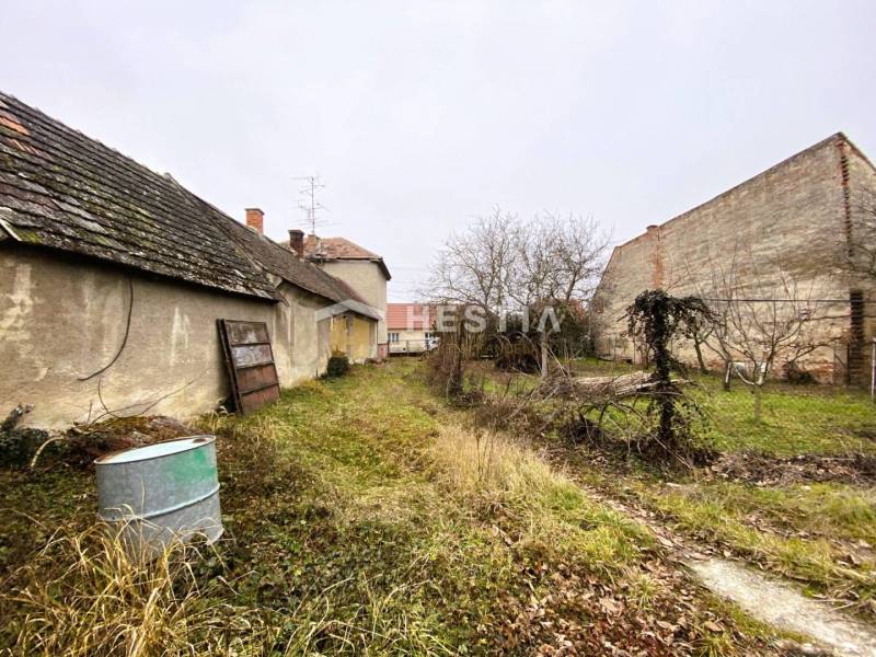 Stará budova s rozpadlou střechou a zahrada s divokým porostem, rodinný dům v pozadí.