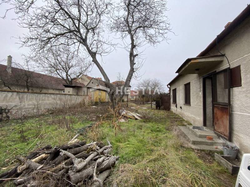 Zahrada s trávou a starými dřevěnými poleny, vedle rodinného domu.