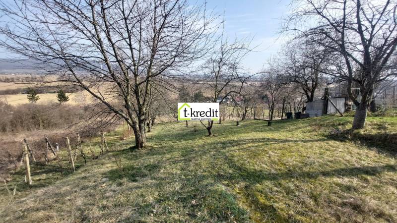 Vinice ve Zlatých Moravcích s výhledem, stromy a travnatý pozemek.