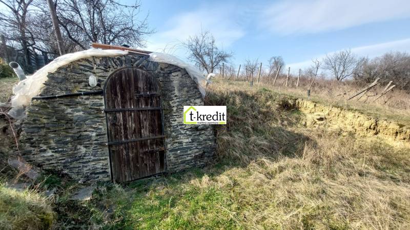 Kamenný vchod do sklepa obklopený přírodou ve vinicích blízko Zlatých Moravců.