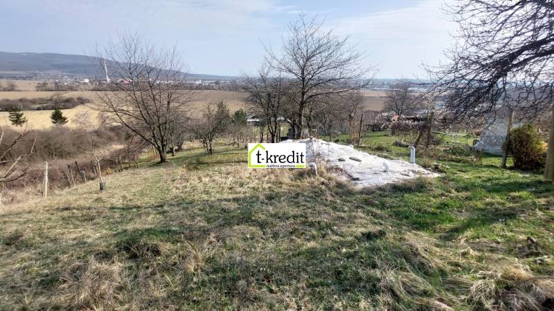 Rozlehlé vinice u Zlatých Moravců se stromy a výhledem na pole a hory.