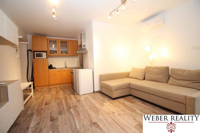 Obývací pokoj 1+kk s kuchyňským koutem a podlahou s dřevěným dekorem.