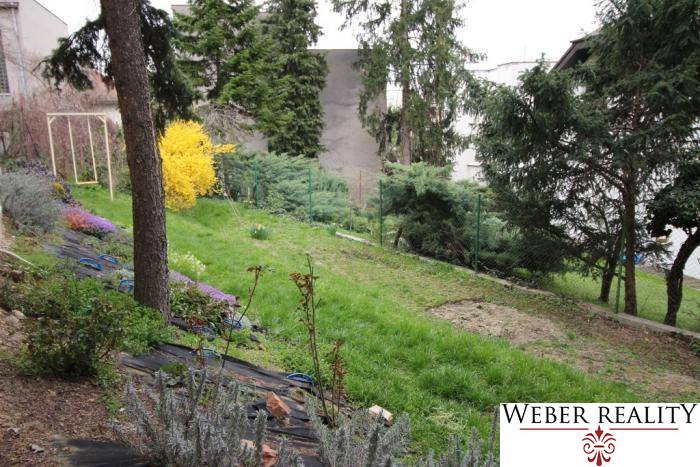 Zahrada s trávníkem, stromy a keři v Bratislavě - Starém Městě na Lichardově ulici.