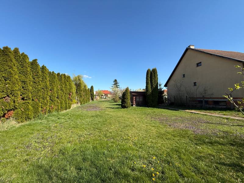 Travnaté pozemky na bydlení ve Dvoranech nad Nitrou, lemované jehličnany a domem.