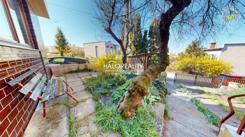 Před rodinným domem v Rimavské Sobotě je zahrada s lavičkou a stromem.