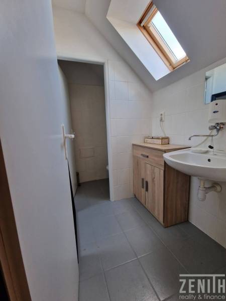 Koupelna se střešním oknem, světlými obklady a dřevěným dekorem nábytku v obchodních prostorách.