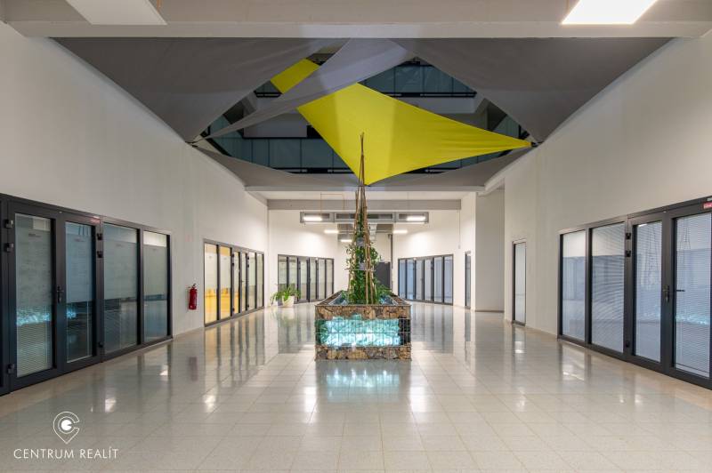 Kancelářské prostory s rostlinou, skleněné dveře a barevná střešní dekorace.