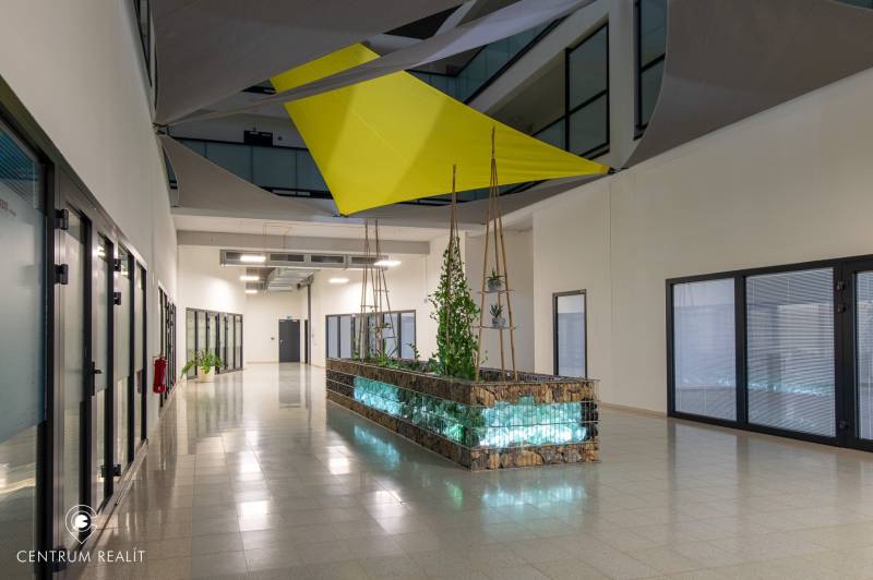 Chodba s rostlinami a geometrickými závěsy v 2-pokojovém bytě.