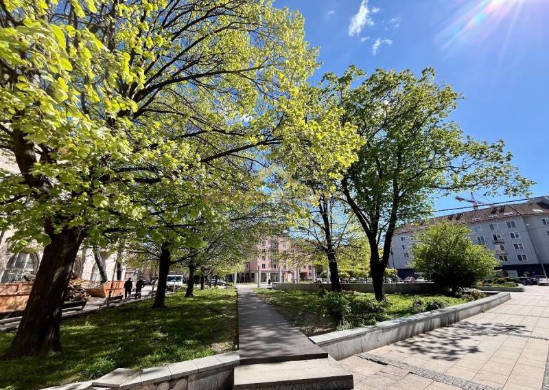 Zeleň a stromy na Dulově náměstí v Bratislavě - Ružinově se slunečným počasím.