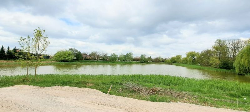 Jezero s okolní zelení ve městě Selice dodává Rodinnému domu příjemné prostředí.