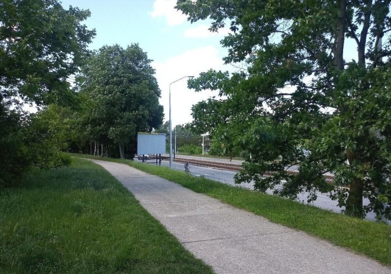 Chodník lemovaný zelení vede podél cesty v Bratislavě - Karlově Vsi.